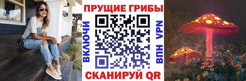 Псилоцибиновые грибы прущие грибы  Озёры 